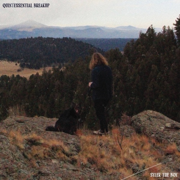 Quintessential Breakup cover art, Syler Dane